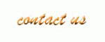 Contact T.N. Studio