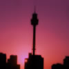 centrepoint tower at sunset
