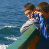 on the ferry