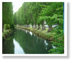 风景如画的埃文河（Avon）